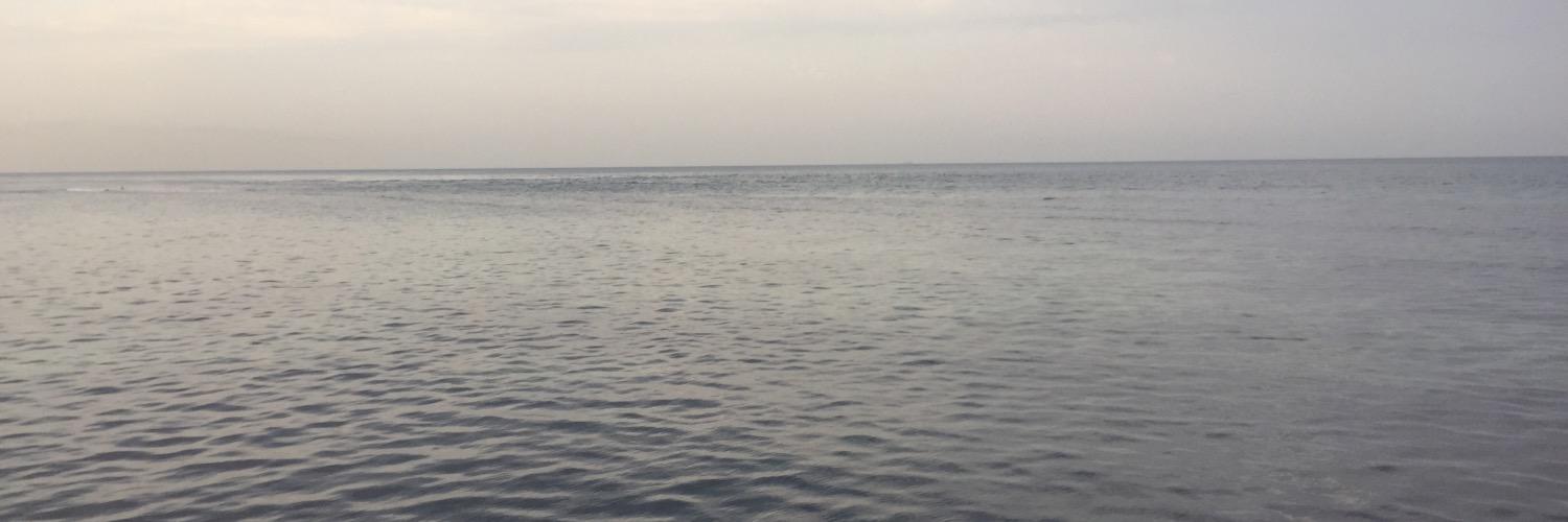 aasmari11's profile banner image
