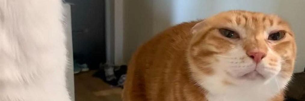 ＫＵＣＨＩＮＫ banner