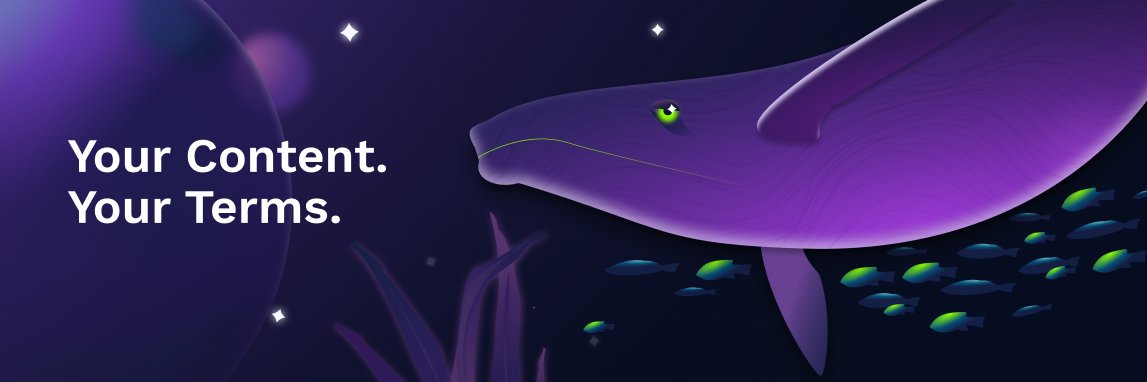 Kelp.Digital banner