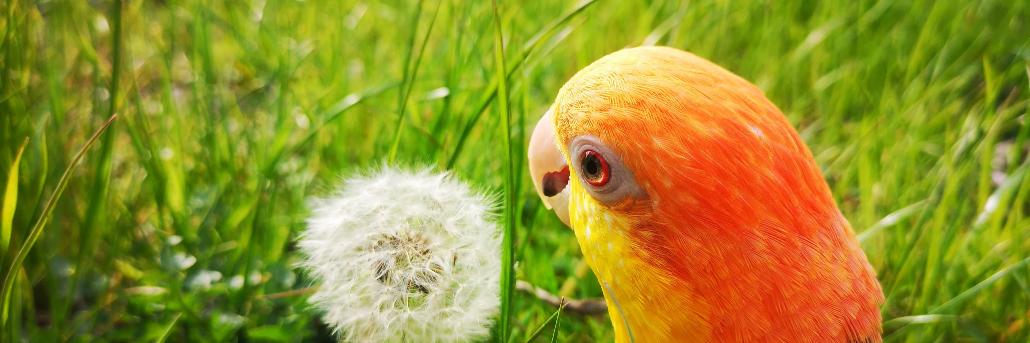 右クリック banner