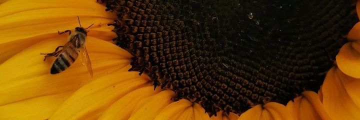 fredgigio's profile banner image