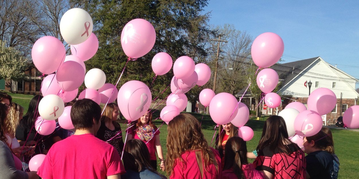 Pink Ladies of MSU banner