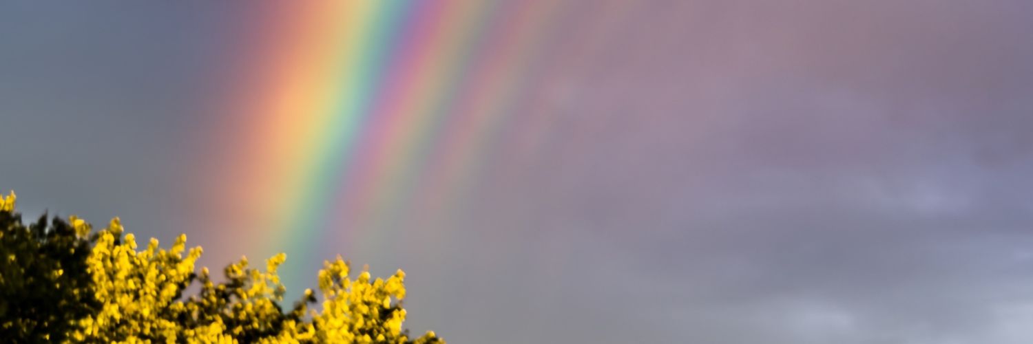 URmyBOM's profile banner image
