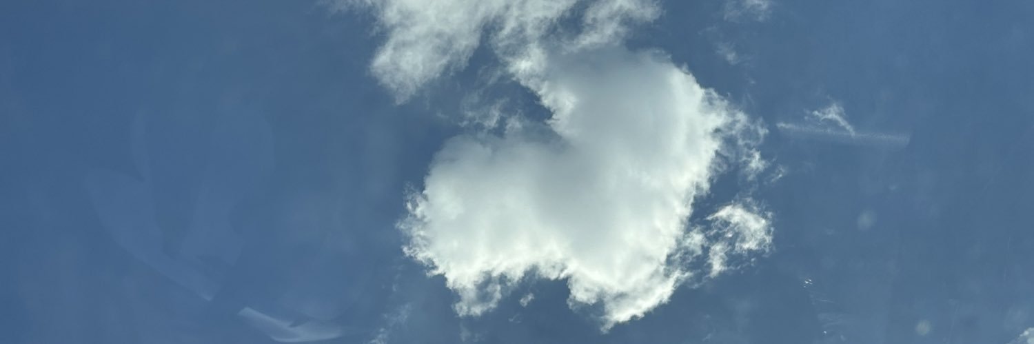 MsYellowBonee's profile banner image