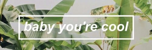 put. banner