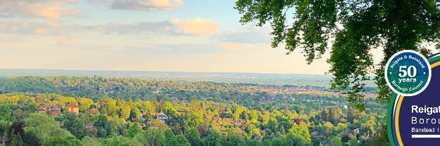 Leader of Reigate & Banstead Borough Council banner