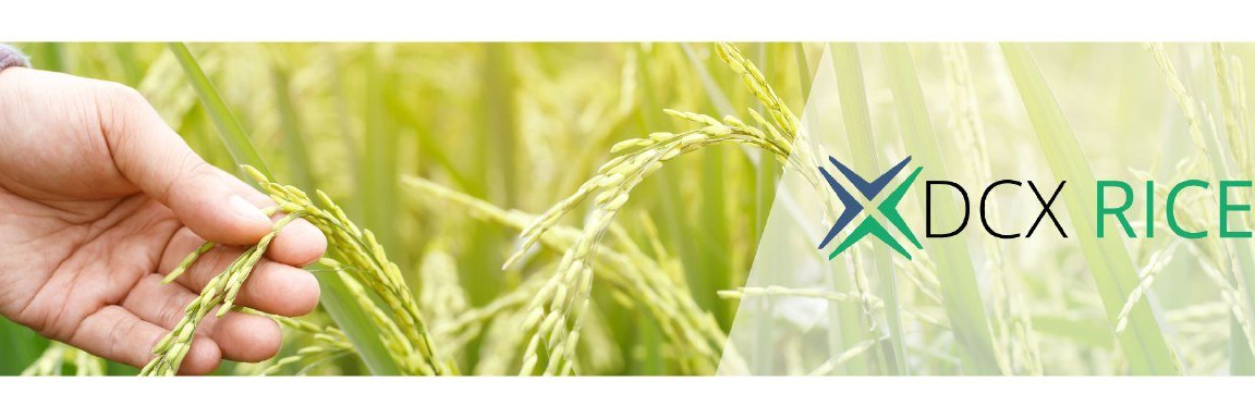 DCX Rice banner