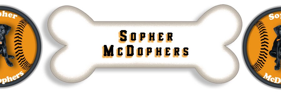 Sopher McDophers banner