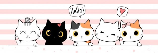 kellylla's profile banner image