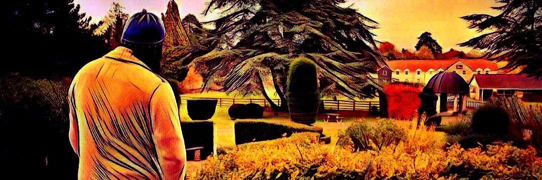 virtualassasins's profile banner image