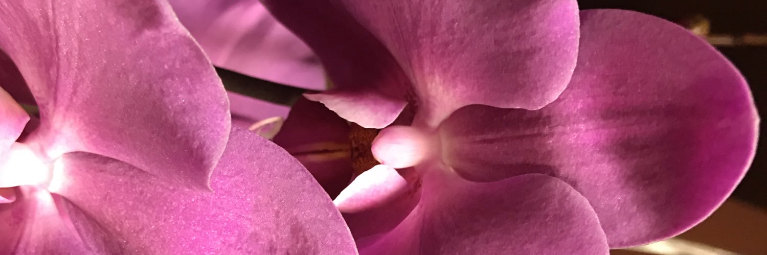 LupitaGaron's profile banner image