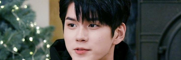 🌻 banner