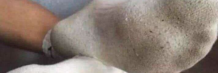 1279723 banner