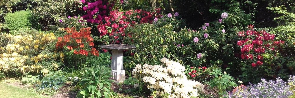 EdwardBirdShrop's profile banner image
