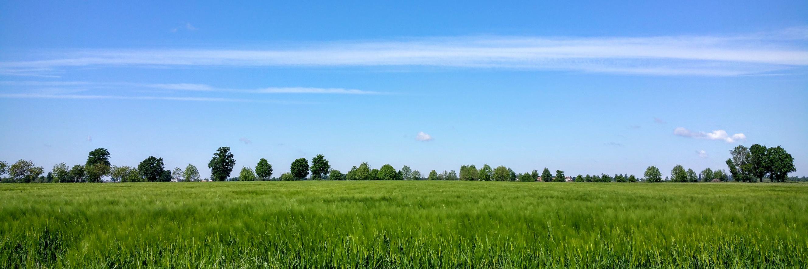 Paolo Ferretti 🇪🇺 banner