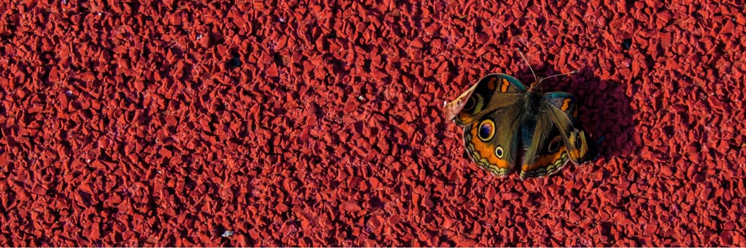 PingPongRenee's profile banner image
