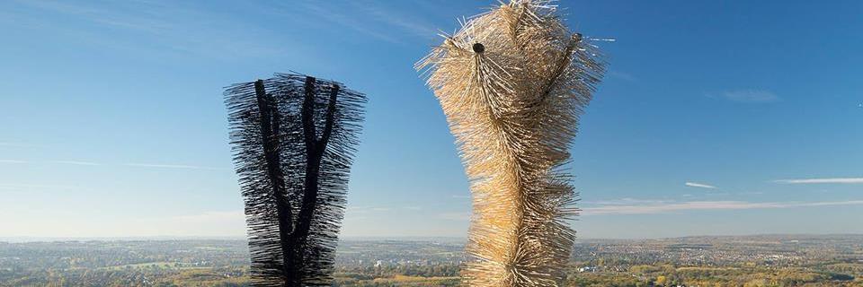 The Ash Project banner