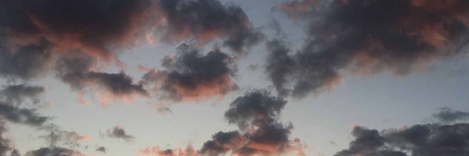 MadisonHoadley's profile banner image