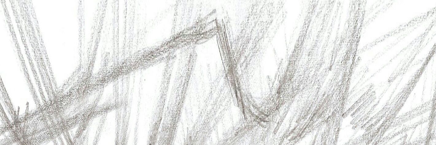 Pierre_Fit_FR banner