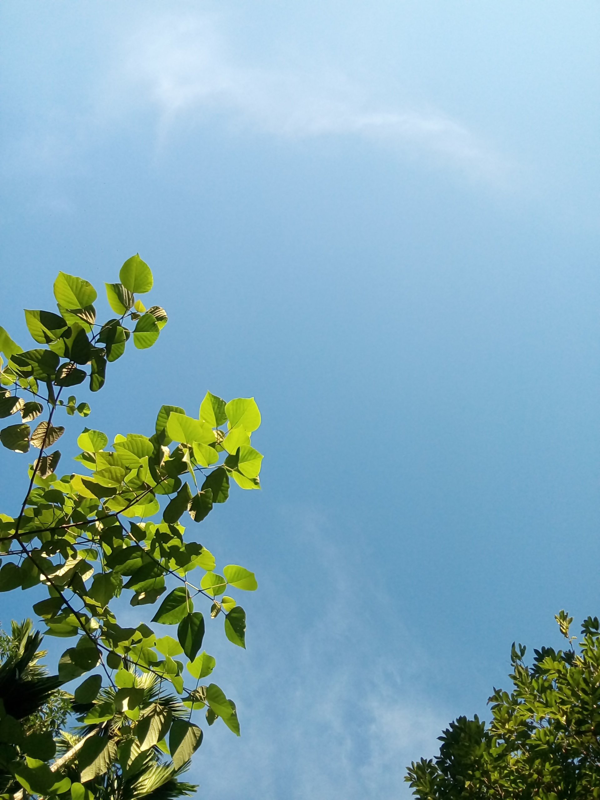 Imreena48's profile banner image