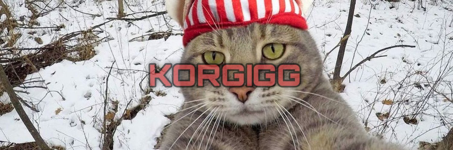 KORGIGG | DSTRCT🏴 banner
