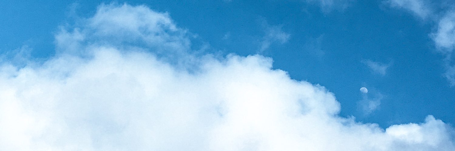 CeiaMerini's profile banner image