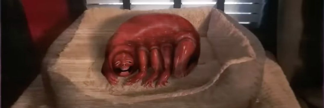 ❤️‍🩹 Doll ❤️‍🩹 banner