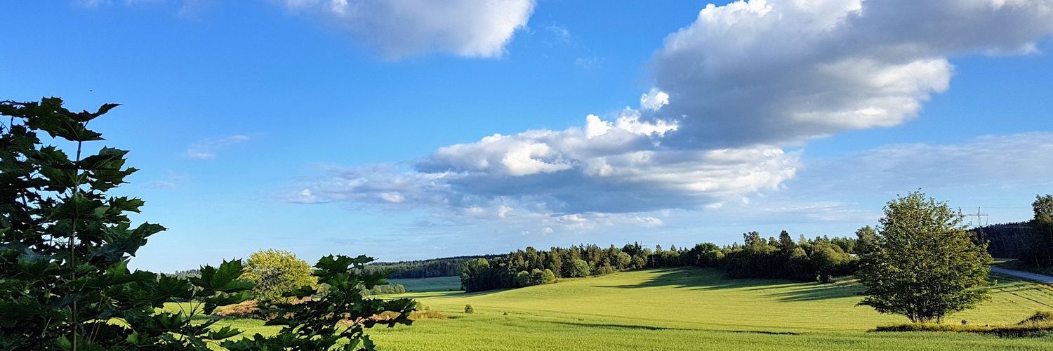 Romantada10's profile banner image