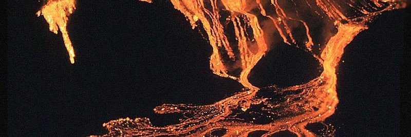 Megan Newcombe banner