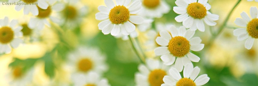 SarahHeather191's profile banner image