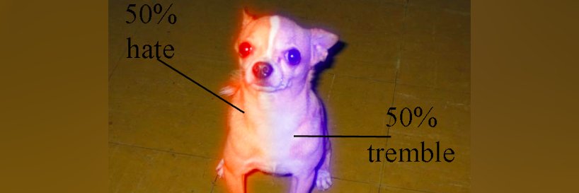 nmoroder 🐈 banner