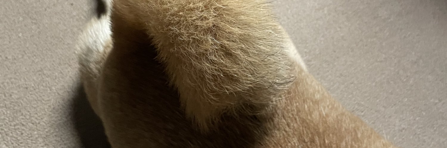 BORNONDREAM's profile banner image