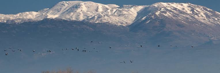danilo rodrigues banner