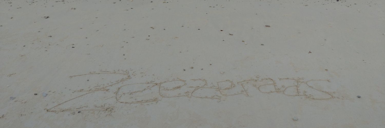 zeezeraas's profile banner image