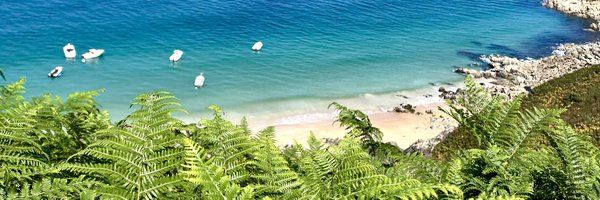 SaplanLena Profile Banner