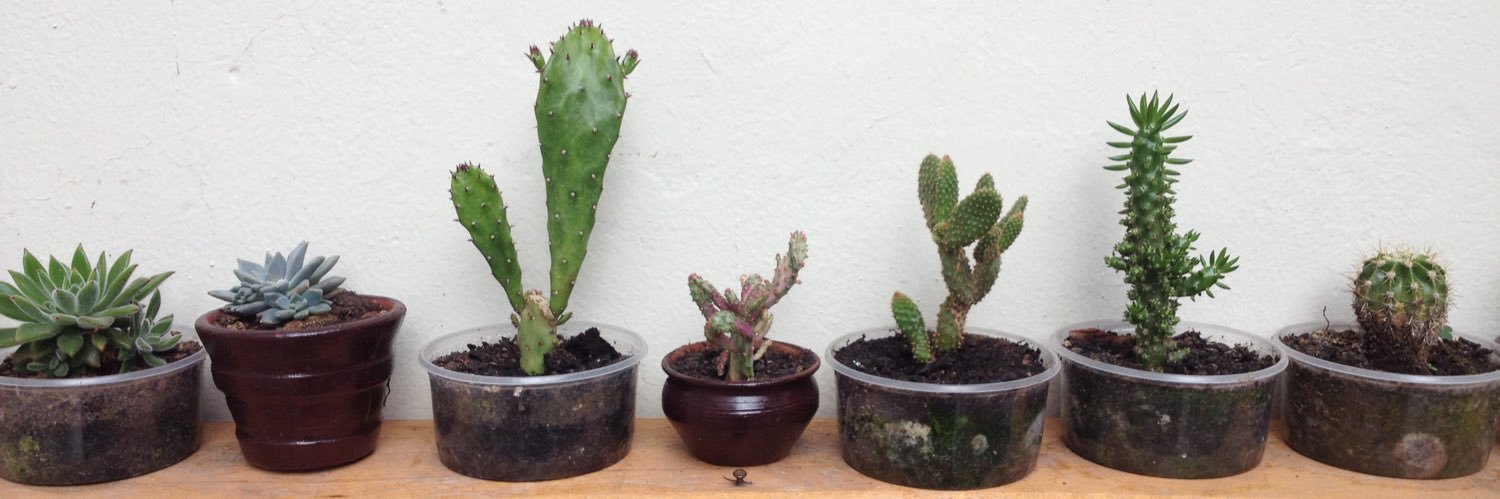 Daniel M Schoorl banner