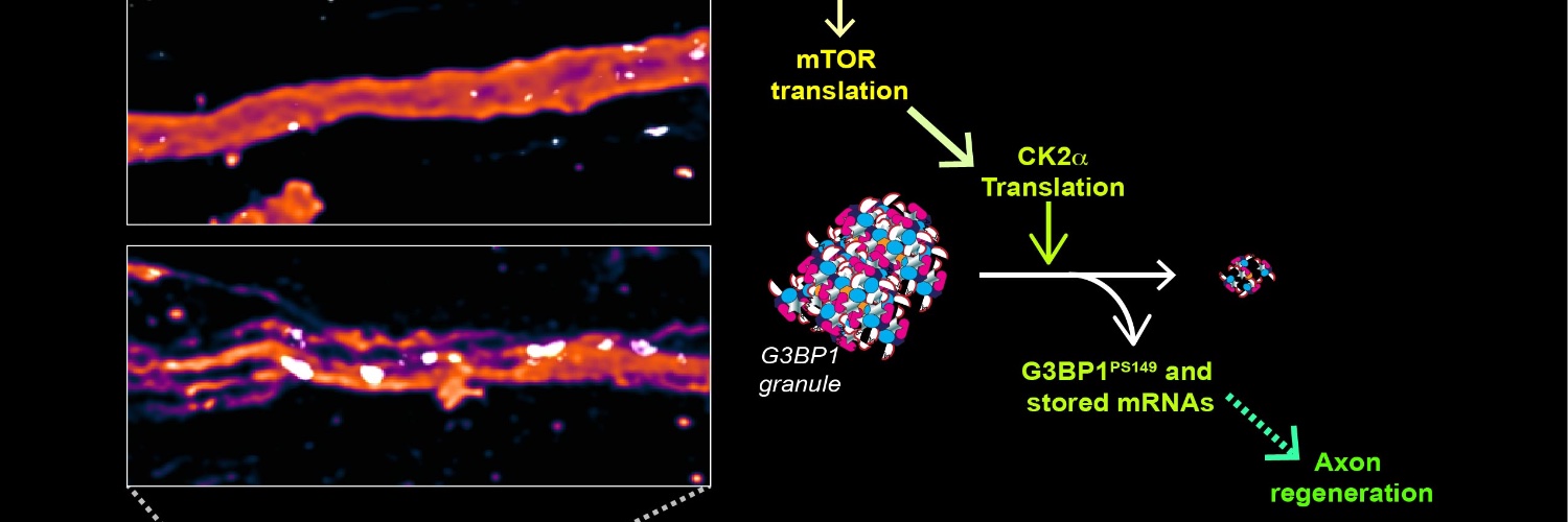 Pabi Sahoo (ପବିତ୍ର ସାହୁ) banner