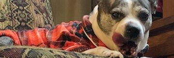 JRDavisCubed's profile banner image