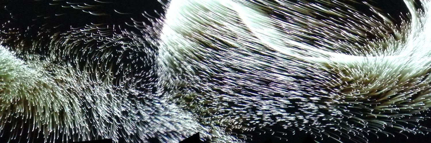 annuskainen's profile banner image