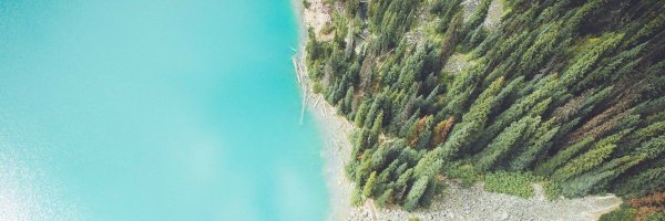 no_chutes Profile Banner