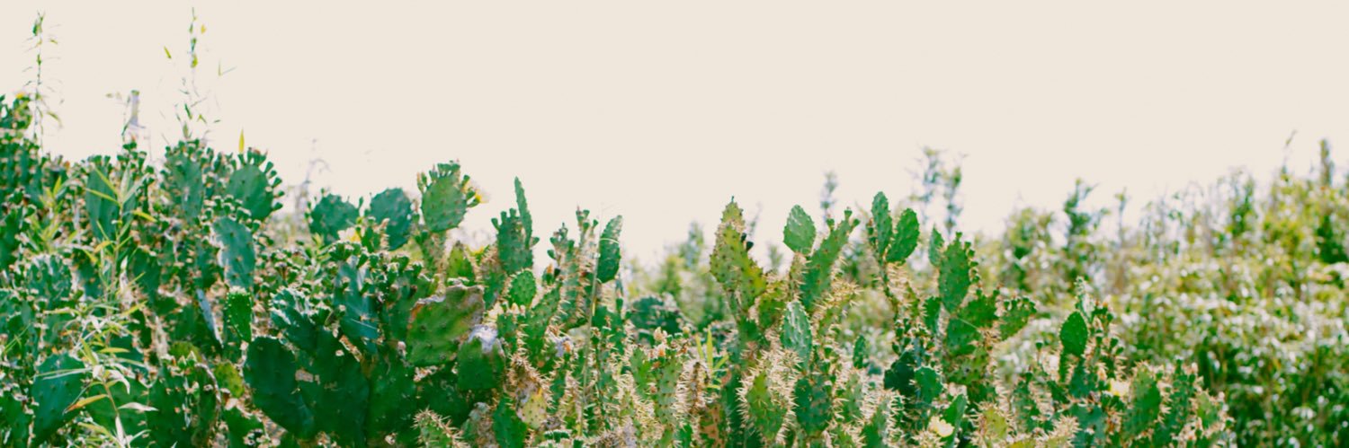 リ・ファンデ banner