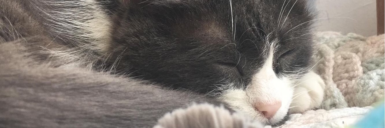 PamPam_T's profile banner image