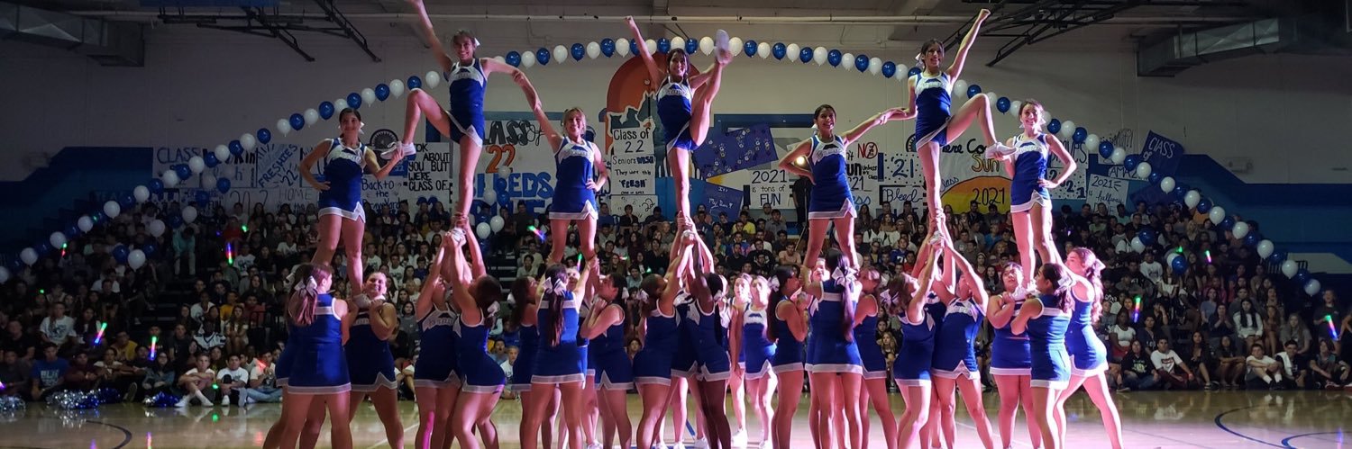 ALHS Cheer Team banner