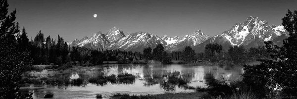 timbantle Profile Banner