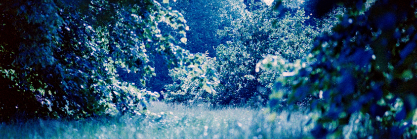 CharlieThorney's profile banner image