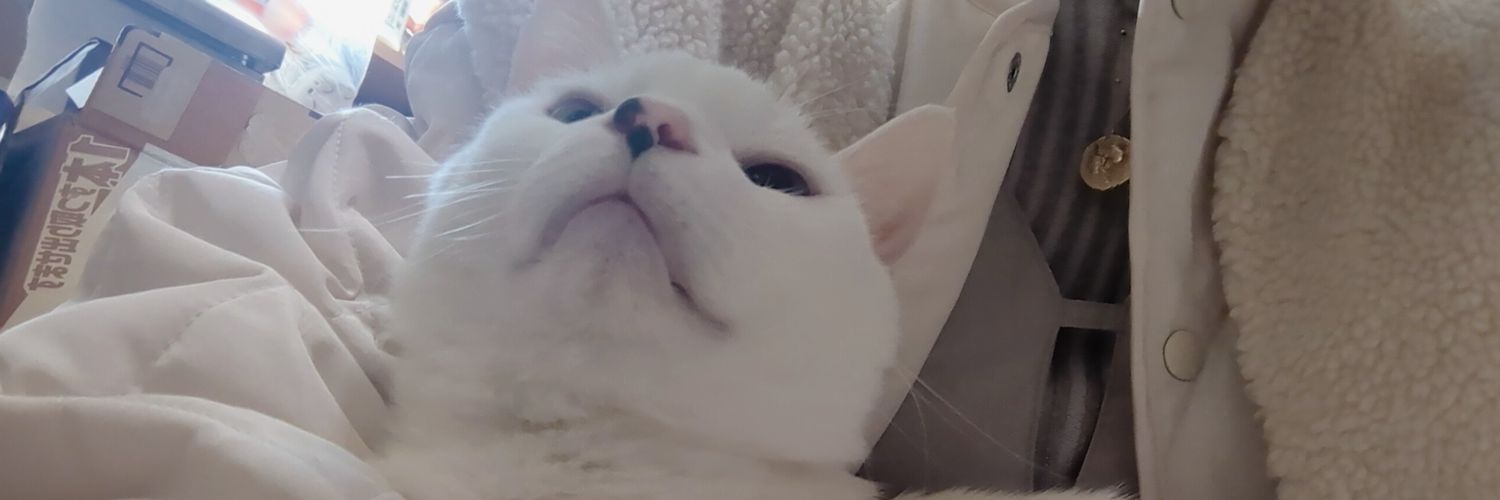 cotttta's profile banner image