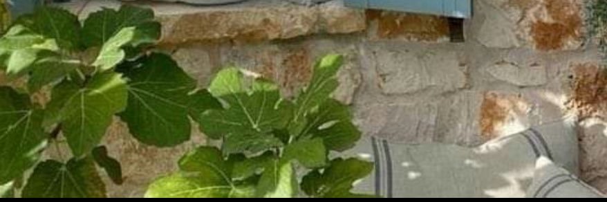 swem_y's profile banner image