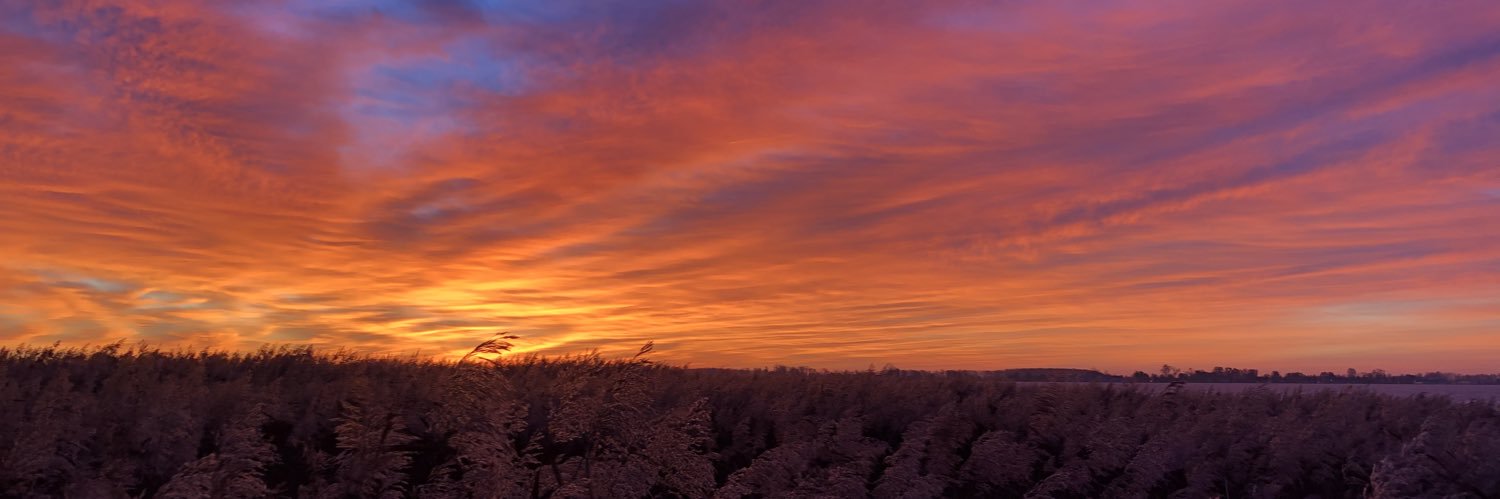 Mike Brasher, PhD 🦆 banner