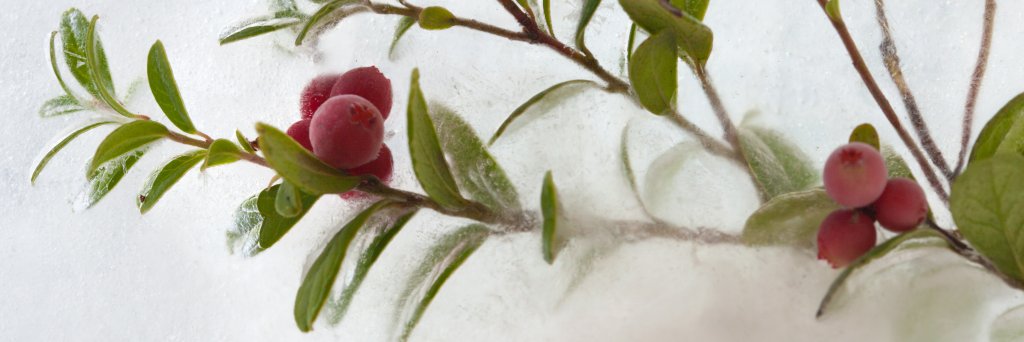 Donna aka Mugsy 🇺🇦 banner