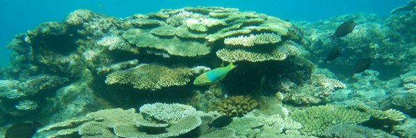 levy_lab Profile Banner